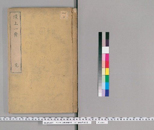 Copy of the Biography of Xiang Ji in the Han Shu: A Slice of Xiang's Neck