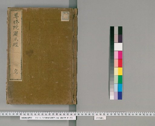 Annotated Commentary on the Dharani Sutra of the Glorious Victory, 3 Volumes