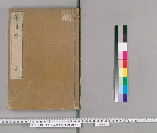 Collection of Zen Forest Cloud Flowers, Upper Volume