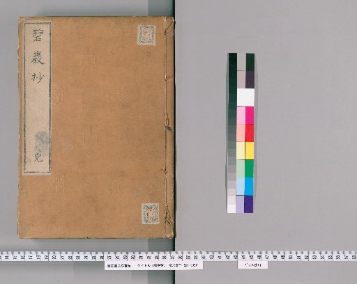 Notes on the Blue Cliff Record