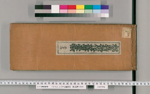 Tale of the Rise and Fall of the Hiragana