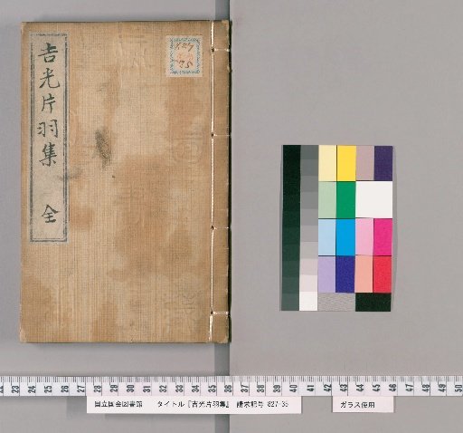 Collection of Fragments of Gold