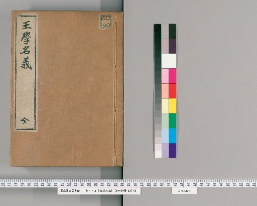 Wang School Terminology, 2 Volumes