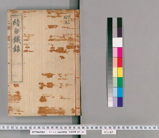 Self-Recorded Notes, Continuation