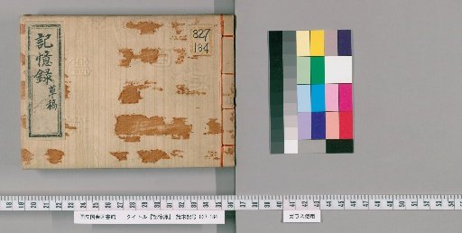 Record of Memory