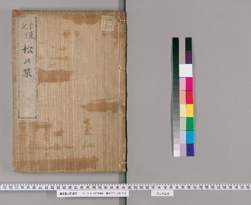 Bookmark of the Pine