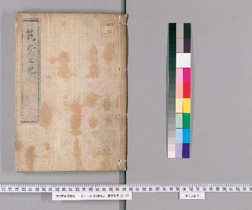 Record of Tsukushi