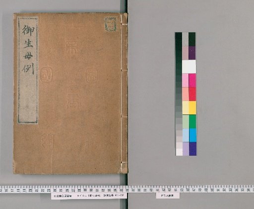 Precedents for the Imperial Mother