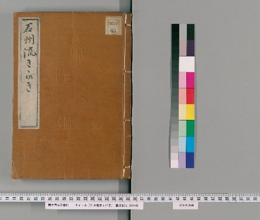 Ishu-ryu Notes