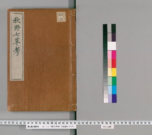 Study of the Seven Herbs of Autumn