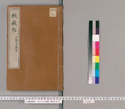 Autumn Chrysanthemum Scroll