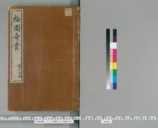 Strange Beauties of the Plum Garden, 2 vols.