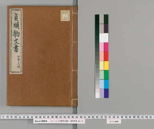 Leopard-patterned Documents of Teijun