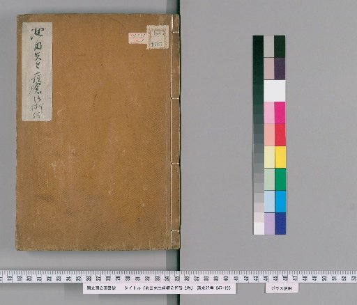 Inherited Treatment Method for Smallpox by Master Ikeda, 2 volumes