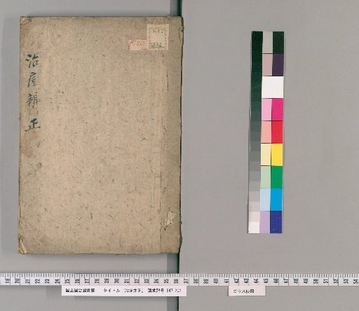 Corrective Treatise on Smallpox