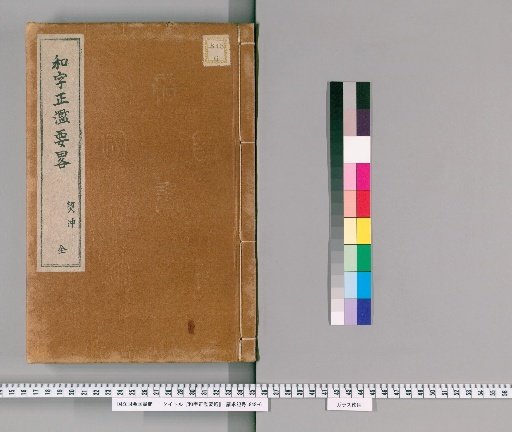 Essential Summary of Correct and Erroneous Japanese Characters