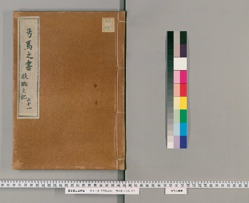 Record of Clamped Objects