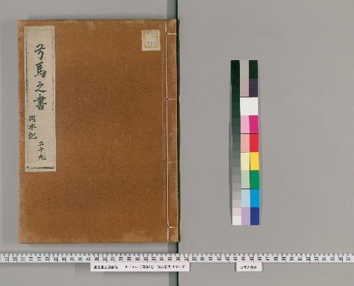 Okamoto Record