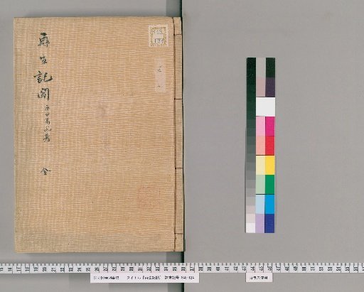 Record of Rebirth