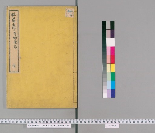 Study of Iris pseudacorus
