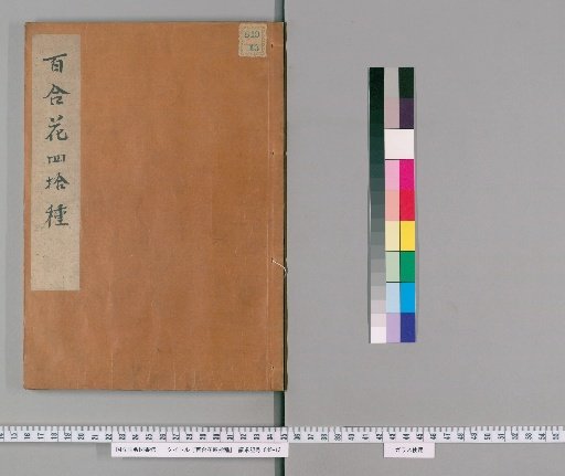 Forty Varieties of Lilies