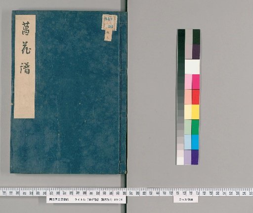Catalogue of Iris Flowers