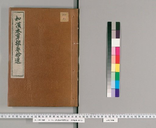 Supplement to the Essentials of Japanese and Chinese Materia Medica