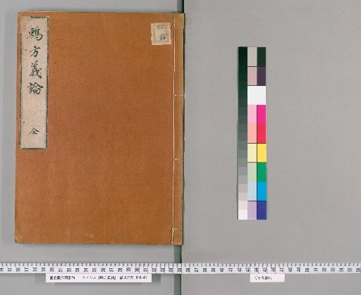 Treatise on the Meaning of the Thrush