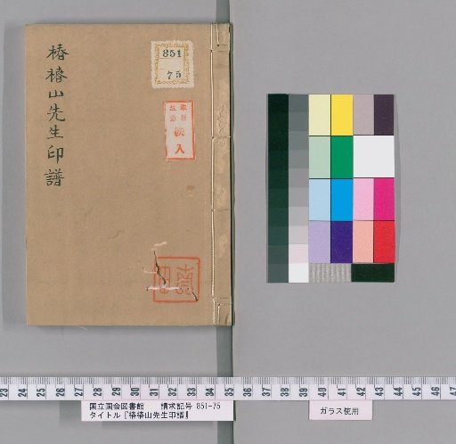 Seal Collection of Mr. Tsubaki Tsubakiyama