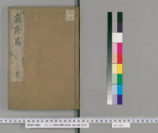 Dai Man-kō's Treatise on the Transmission of Smallpox Treatment