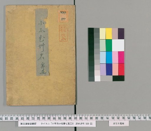 Xiao Bulao Cao Name List for Seven-Five-Three