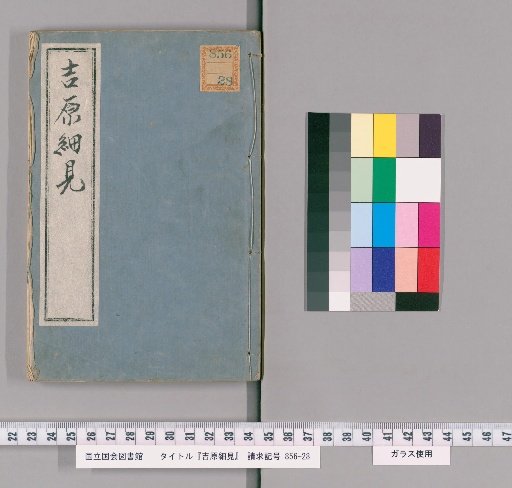 Detailed View of Yoshiwara