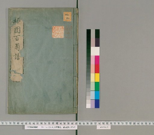 Hundred Chrysanthemum Varieties by Rōen