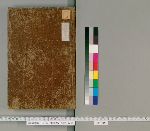 Twelve-Section Grass Paper