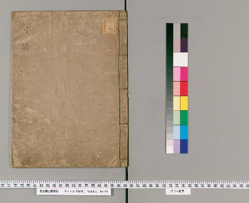 Chrysanthemum Catalog