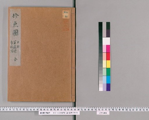 Illustrated Album of Rare Fish