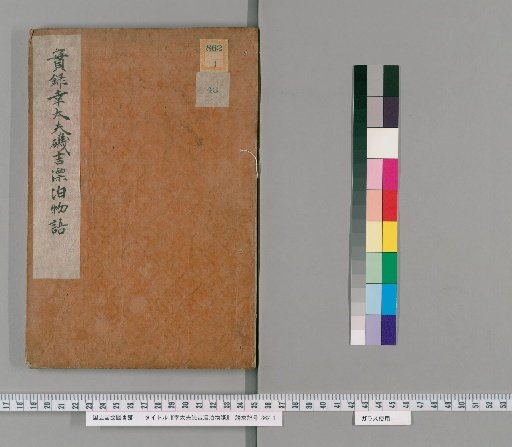 The Tale of the Wandering of Kotaro and Isokichi