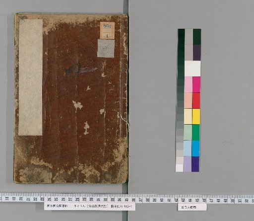 Record of Drifting to Annam