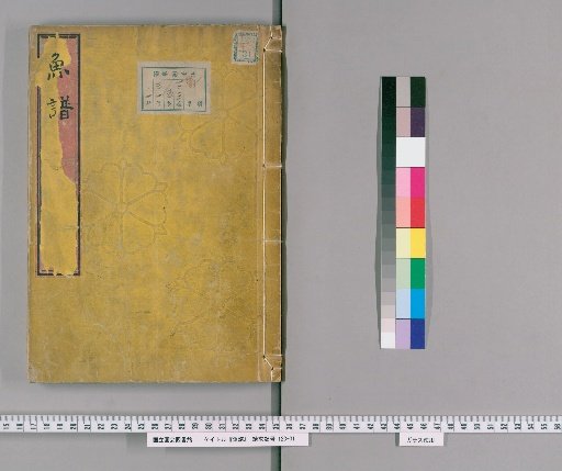 Fish Catalog