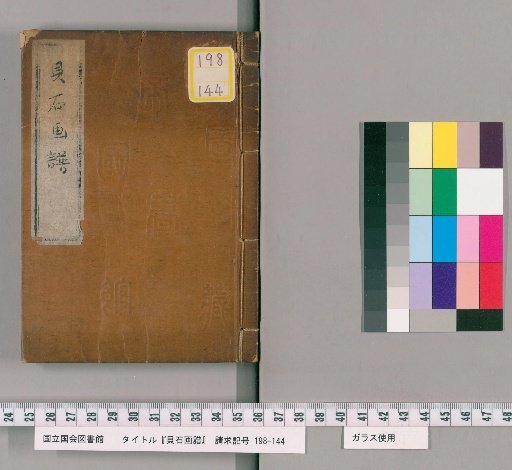 Picture Catalog of Shells and Stones