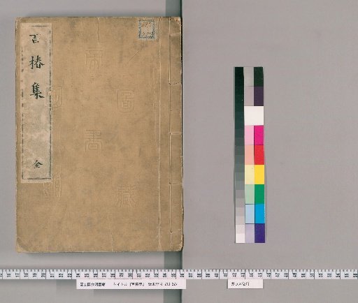 Collection of Hundred Pines