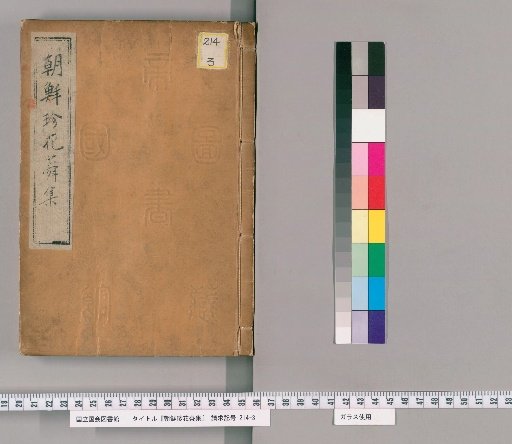 Collection of Rare Korean Flowers