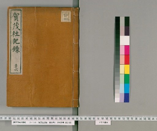 Kamisha Records, Volume 36