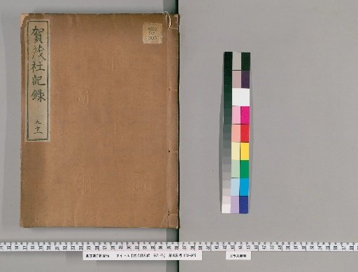Kamisha Records, Volume 91