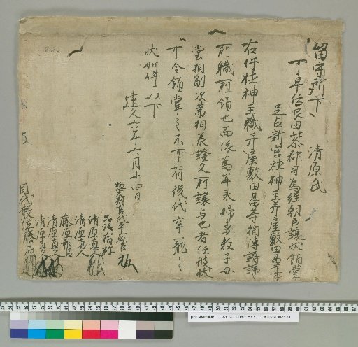 [Official Document from the Ruling Council]