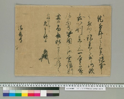 [News from Ogasawara Nagao]