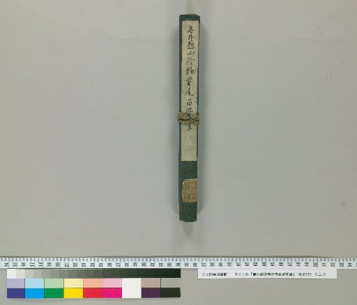 Record of the Beginning and End of the Unnamed Scroll