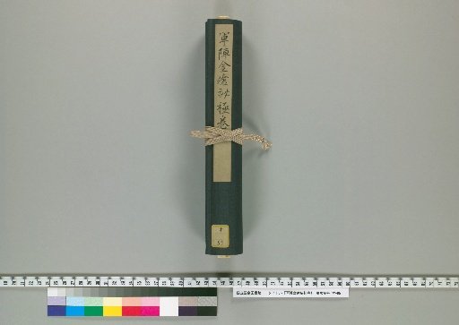 Secret Scroll on Wound Treatment in Military Camps