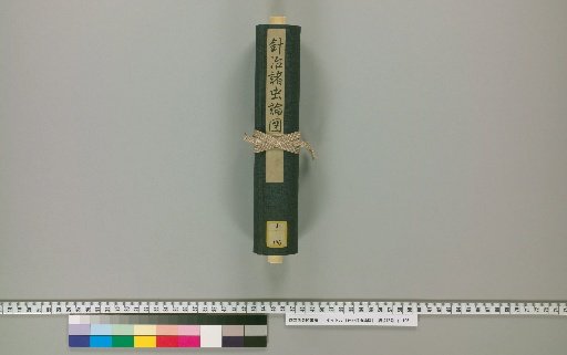 Diagram and Treatise on Needle Therapy for Various Insects
