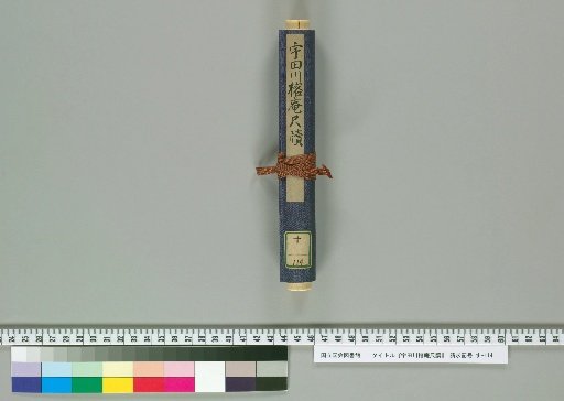 Letters of Udagawa Yōan